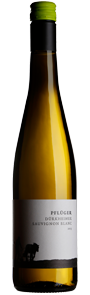 Sauvignon Blanc Quarzit 2020 Demeter