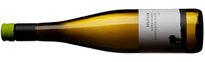 Sauvignon Blanc Quarzit 2020 Demeter